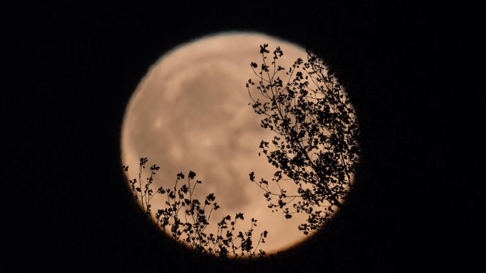Vollmond