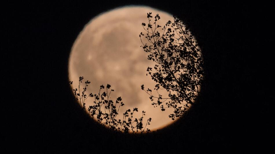 Vollmond