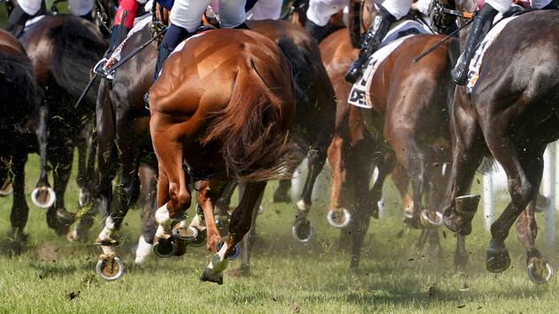 Galopp-Rennen in Hamburg-Horn