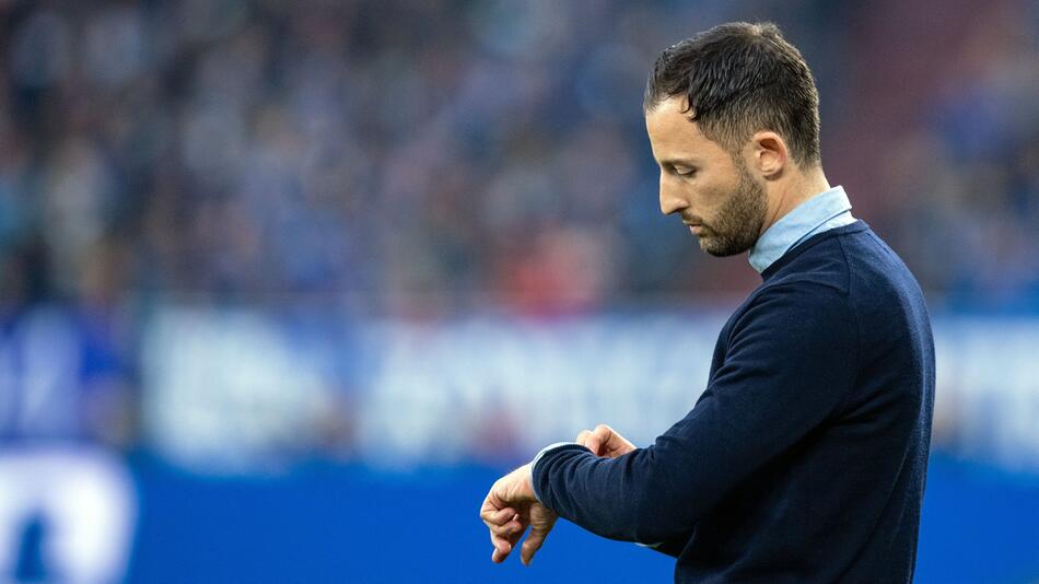 Domenico Tedesco, FC Schalke 04, SV Werder Bremen, Bundesliga