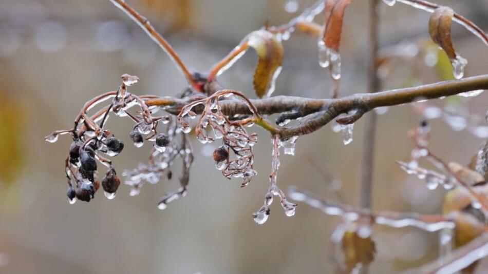 Wetterwechsel: Es wird milder und nasser