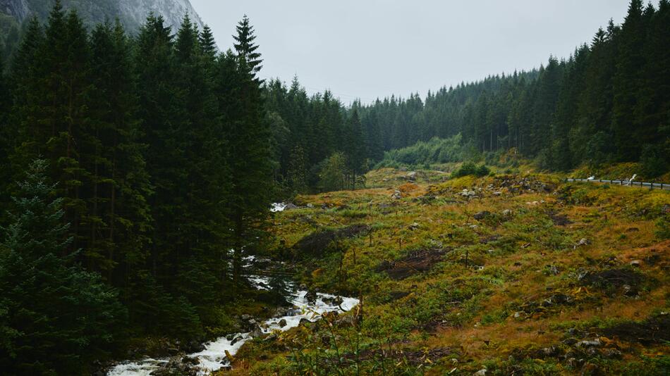 Norwegisches Tal