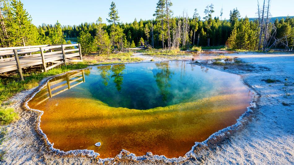 Yellowstone-Park: Touristen haben einzigartiges Naturwunder zerstört