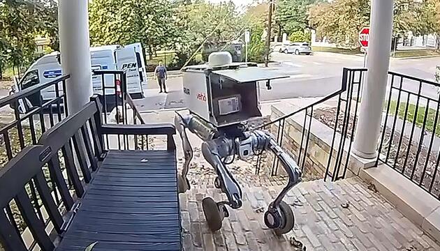 Rückwärtssprung von der Treppe: Lieferroboter kämpft mit Paket und reagiert verzweifelt