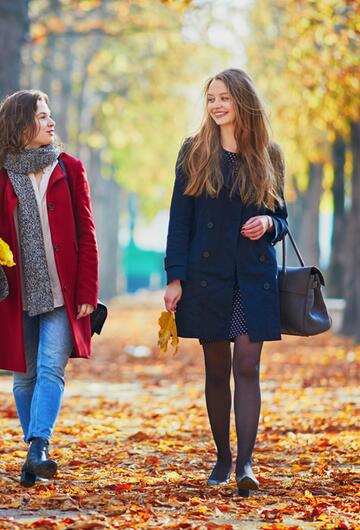 goldener herbst, herbst, blätter, jahreszeit, kalt, windig