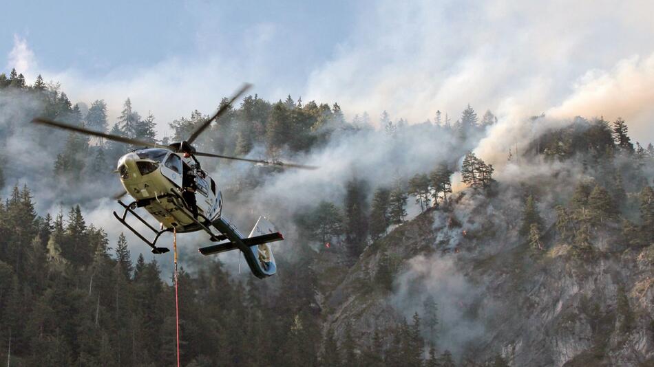 Forest fire in mountain forest in Inntal valley