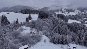 Schneezauber im Allgäu