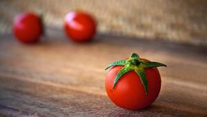 Tomatenstrunk
