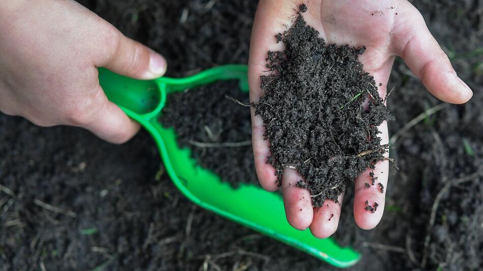 Eine Person entnimmt Erde aus einem Garten