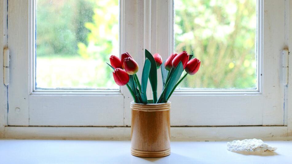 Richtiges Lüften im Frühling: Warum du abends die Fenster schliessen solltest