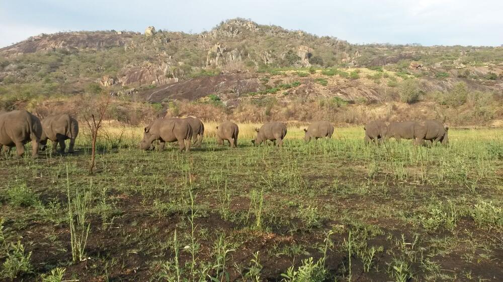 Matobo Nationalpark ist der älteste Nationalpark Zimbabwes