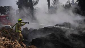 Waldbrand in Israel