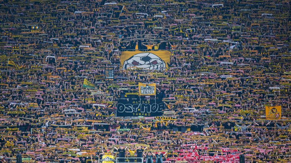 Dynamo Dresdens Fans gehören zu den treuesten der 3. Liga