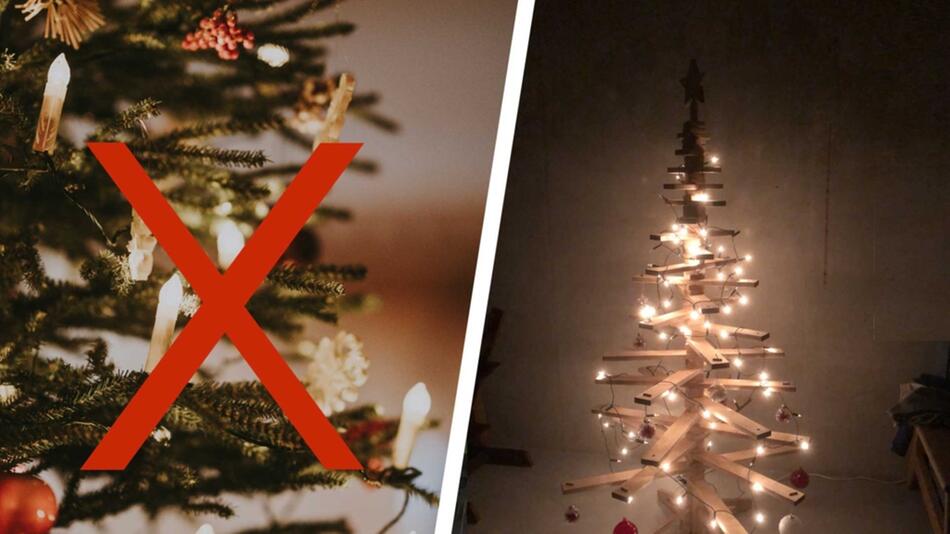 3 Weihnachtsbaum-Alternativen im Test: So wird’s auch ohne Tanne festlich