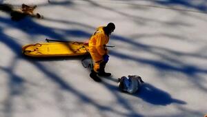 Polizei und Feuerwehr befreien festgefrorenen Schwan