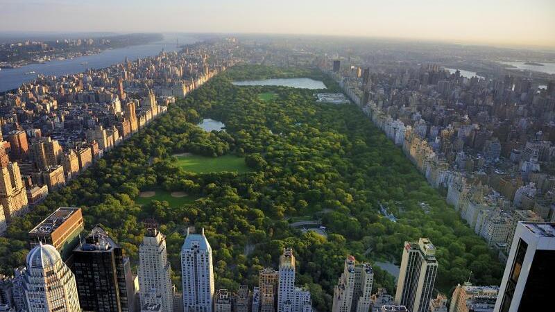 Central Park in New York