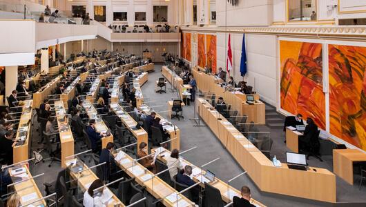 Österreichs Parlament stimmt über Corona-Impfpflicht ab