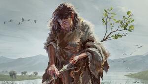 430.000 Jahre alte Grabstöcke