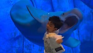 Ungewollter Gruss: Weisswal erschreckt Jungen im Aquarium in China