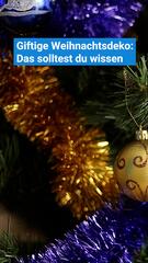 Giftige Weihnachtsdeko: Das solltest du wissen