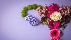 Weibliche reproduktives System aus Blumen