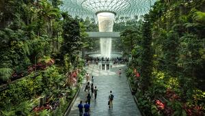 Der Changi Airport in Singapur beeindruckt mit üppigen Gärten und aussergewöhnlicher Architektur.