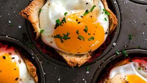 eier