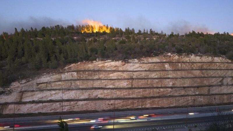 Brand im Wald vor Autobahn