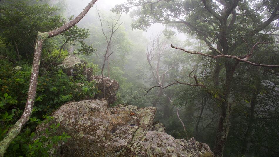 Shenandoah-Nationalpark in den USA