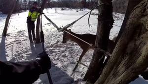 Rettungseinsatz in Minnesota: Polizei hilft feststeckendem Hirsch