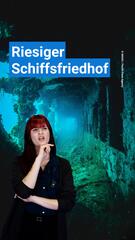 Chuuk: Einer der grössten Schiffsfriedhöfe