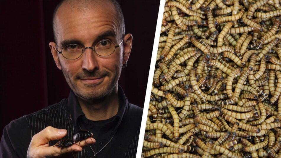 Insekten essen: Biologe Mark Benecke im Utopia-Interview