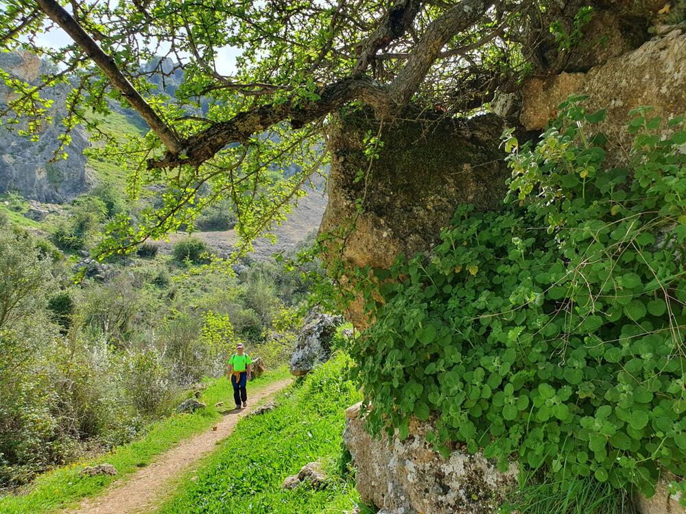 Wandern durch den Naturpark Sierras Subbéticas