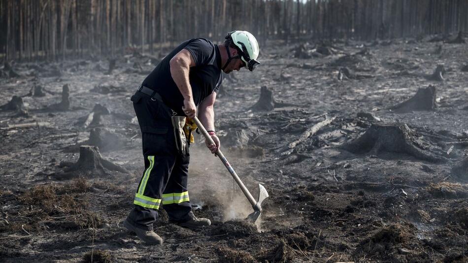 Waldbrand auf der Saalfelder Höhe: Grösster Einsatz seit 30 Jahren