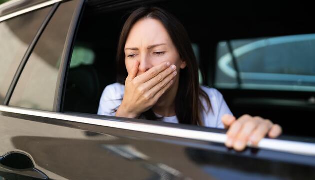 Reisekrankheit ist sensorischer Konflikt