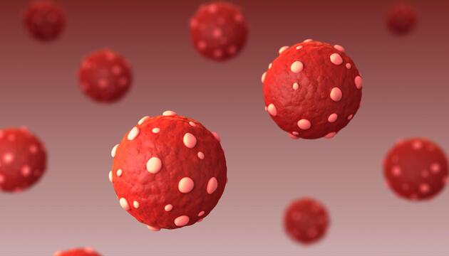 Hantavirus