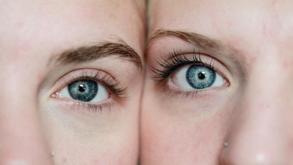 Zwillingsstudie: Das passiert, wenn du dich 8 Wochen vegan ernährst oder Fleisch isst