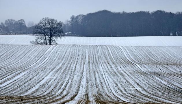 Winterwetter in Norddeutschland