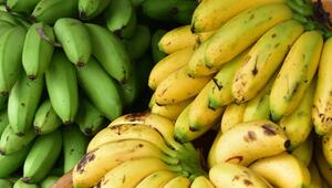 Grüne und gelbe Bananen, teilweise mit braunen Flecken, in grossen Bündeln dicht nebeneinander ...