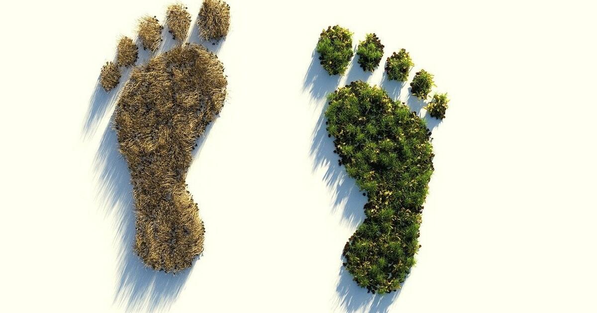Leave No Trace: Warum du dieses Prinzip verinnerlichen solltest
