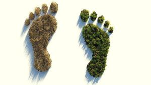Leave no trace