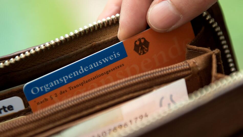 Organspendeausweis in einem Geldbeutel