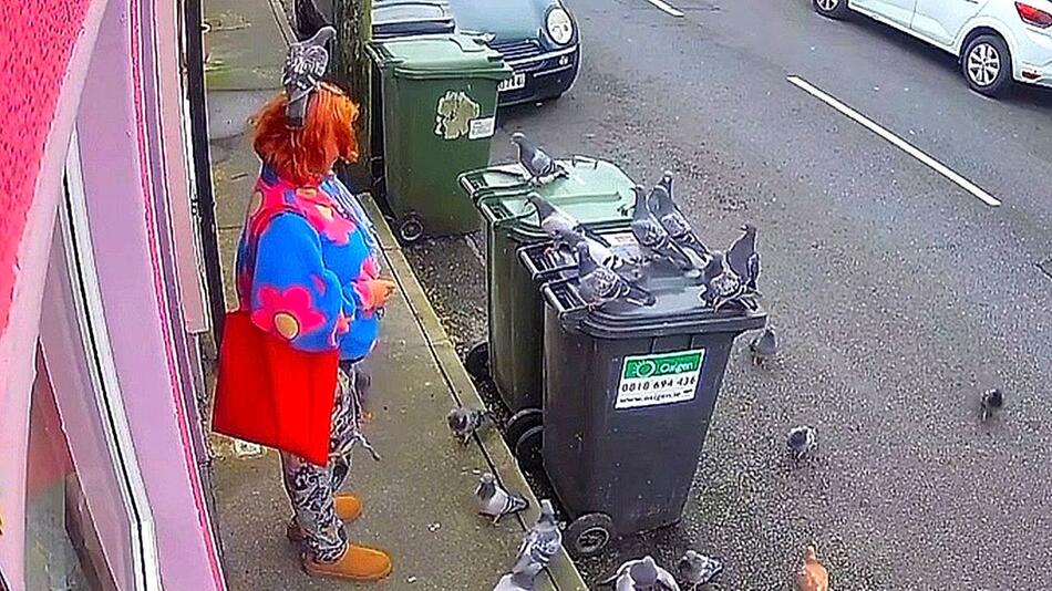 Magische Anziehungskraft: Tauben umringen Frau in Irland