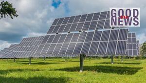 Grosses Feld mit mehreren Reihen von Solarpanelen auf grüner Wiese,, rechts oben der Schriftzug ...