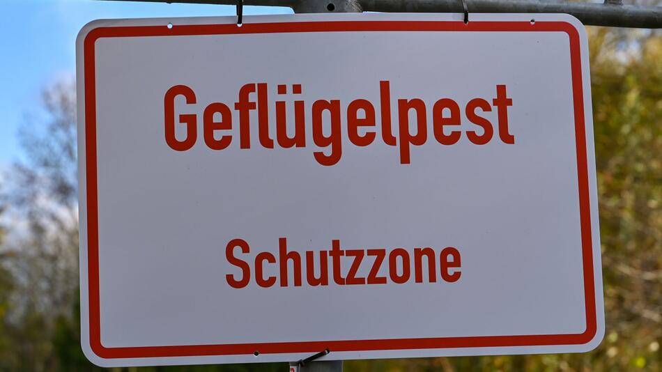 Geflügelpest