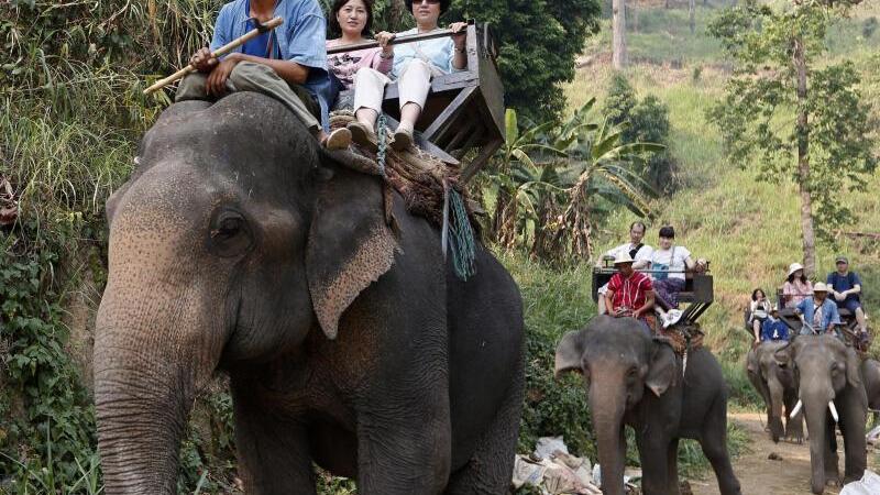 Touristen reiten auf Elefanten