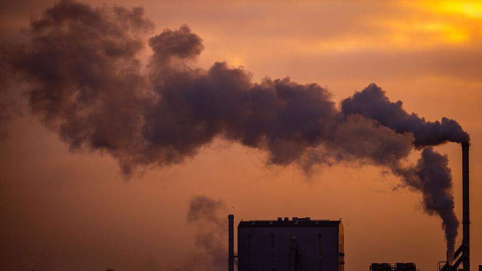 Abgase und CO2-Ausstoss