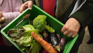 Foodsharing: Mehrwegkiste mit Gemüse
