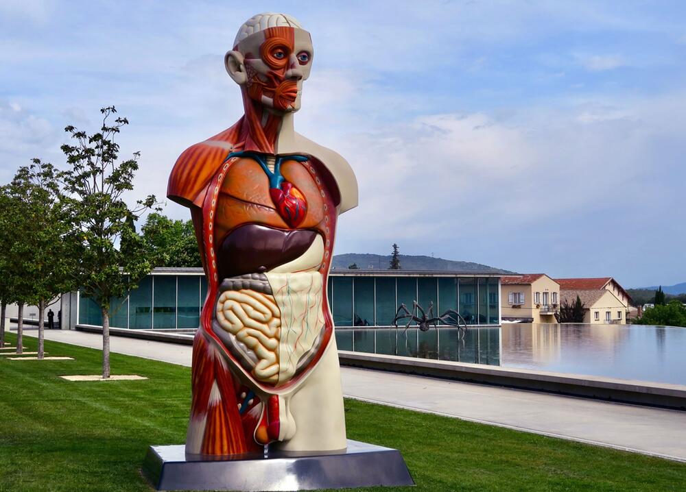 Skulptur von Damien Hurst auf dem Weingut La Coste