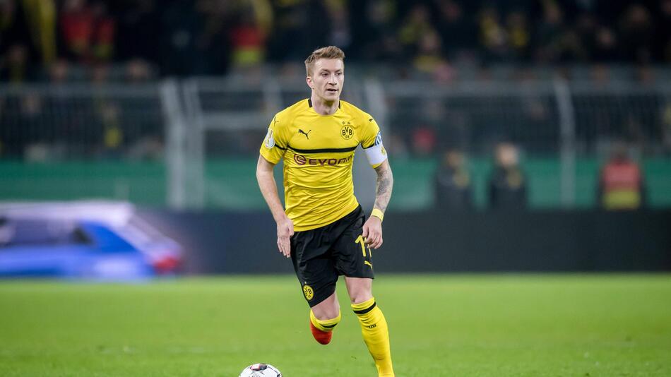 BVB, Dortmund, Reus, Favre